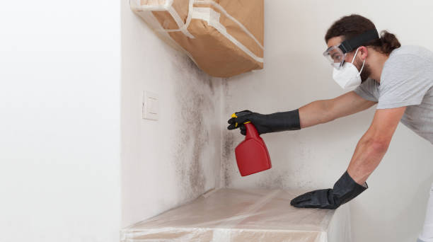 Attic Mold Remediation treatment on roof deck in Hutto